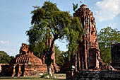 Ayutthaya, Thailand. Wat Mahathat, three auxiliary prang lined North South along the western enclosure wall of the main prang. 